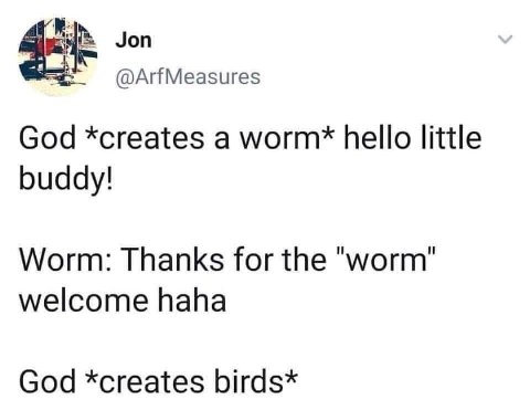 Jon @ArfMeasures God *creates a hello little buddy! Worm: Thanks for the "м/огт" welcome haha God *creates birds*