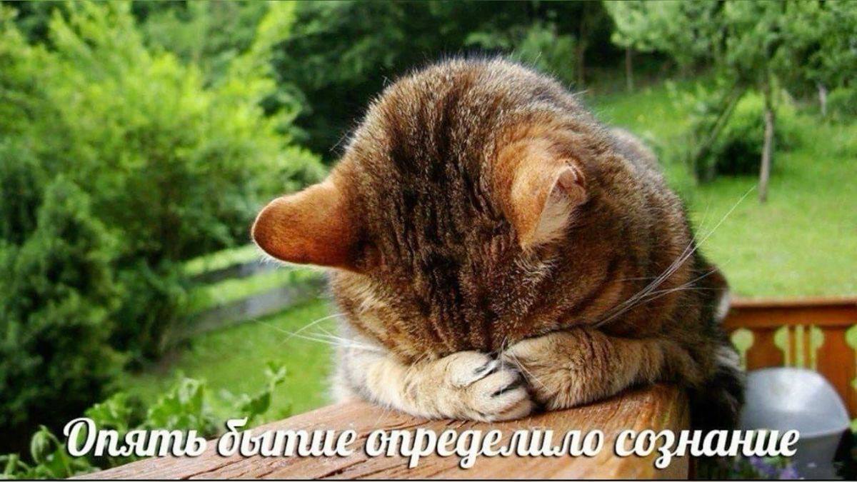 4 определило сознание