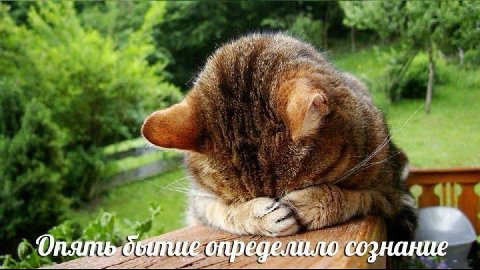 4 определило сознание