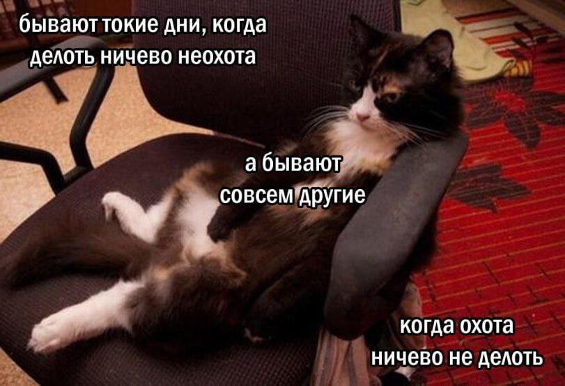 бываюттокие дни, когда делоть ничево неохота a бывают совсем ‘другие когда охота ничево не делоть