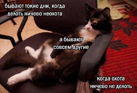 бываюттокие дни, когда делоть ничево неохота a бывают совсем ‘другие когда охота ничево не делоть