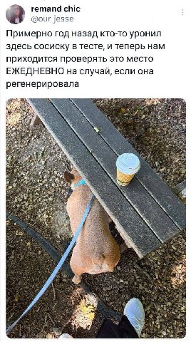 remand chic @our jesse Примерно год назад кто-то уронил здесь сосиску в тесте, и теперь нам приходится проверять это место ЕЖЕДНЕВНО на случай, если она регенерировала 4 4 4 к 3 3% Vie