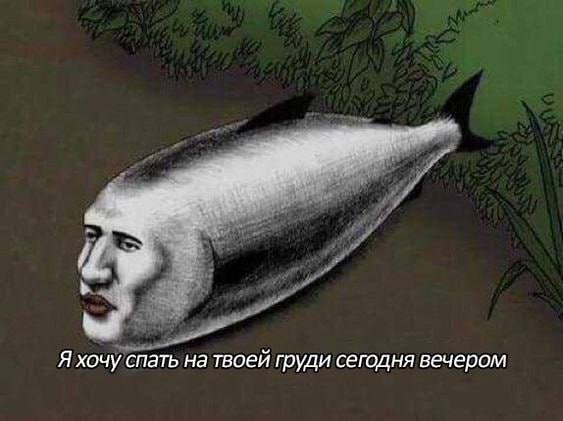 Я хочу спать на твоей груди сегодня вечером