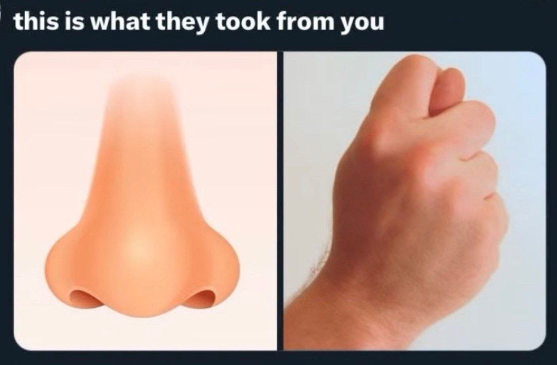 this is what they took from you