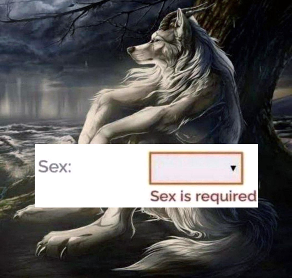 Sex Sex is required