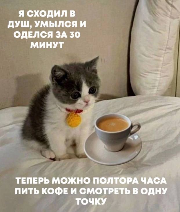 Я СХОДИЛ В ДУШ, УМЫЛСЯ И ОДЕЛСЯ ЗА 30 МИНУТ ТЕПЕРЬ МОЖНО ПОЛТОРА ЧАСА ПИТЬ КОФЕ И СМОТРЕТЬ В ОДНУ ТОЧКУ