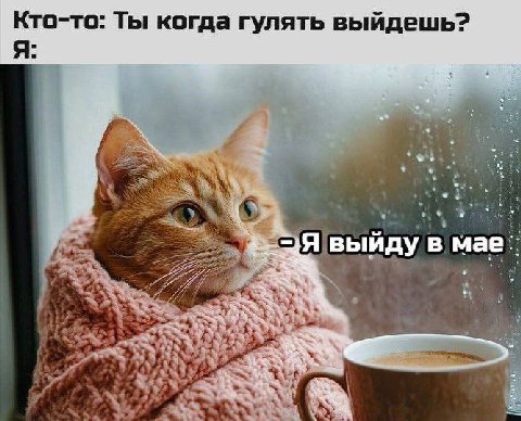 Кто-то: Ты когда гулять выйдешь? A =Я выиду в мае