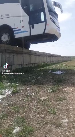 TikTok user668010060265