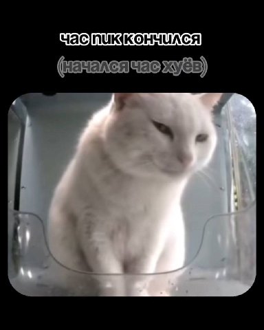 (началсячасухуев) в