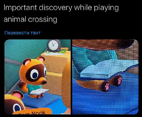 Important discovery while playing animal crossing Перевести твит МООБ