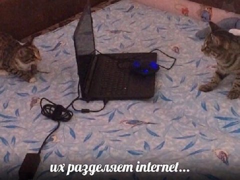разделяет