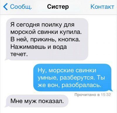 Сообщ. Систер Контакт Я сегодня поилку для морской свинки купила. В ней, прикинь, кнопка. Нажимаешь и вода течет. Ну, морские свинки умные, разберутся. Ты же вон, разобралась. Прочитано в 15:32 Мне му