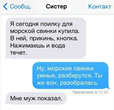 Сообщ. Систер Контакт Я сегодня поилку для морской свинки купила. В ней, прикинь, кнопка. Нажимаешь и вода течет. Ну, морские свинки умные, разберутся. Ты же вон, разобралась. Прочитано в 15:32 Мне му