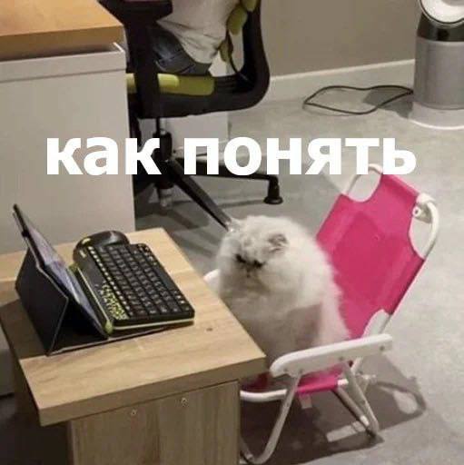 как понять 4