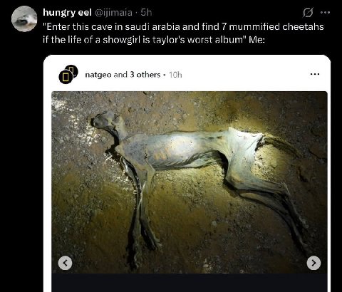 hungry ее! @ijimaia “Enter this cave in saudi arabia and find 7 mummified cheetahs if the life of a is taylor's worst album" Me: natgeo and 3 others a 2