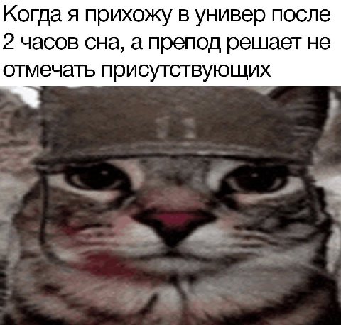 Когда я прихожу в универ после 2 часов сна, а препод решает не отмечать присутствующих