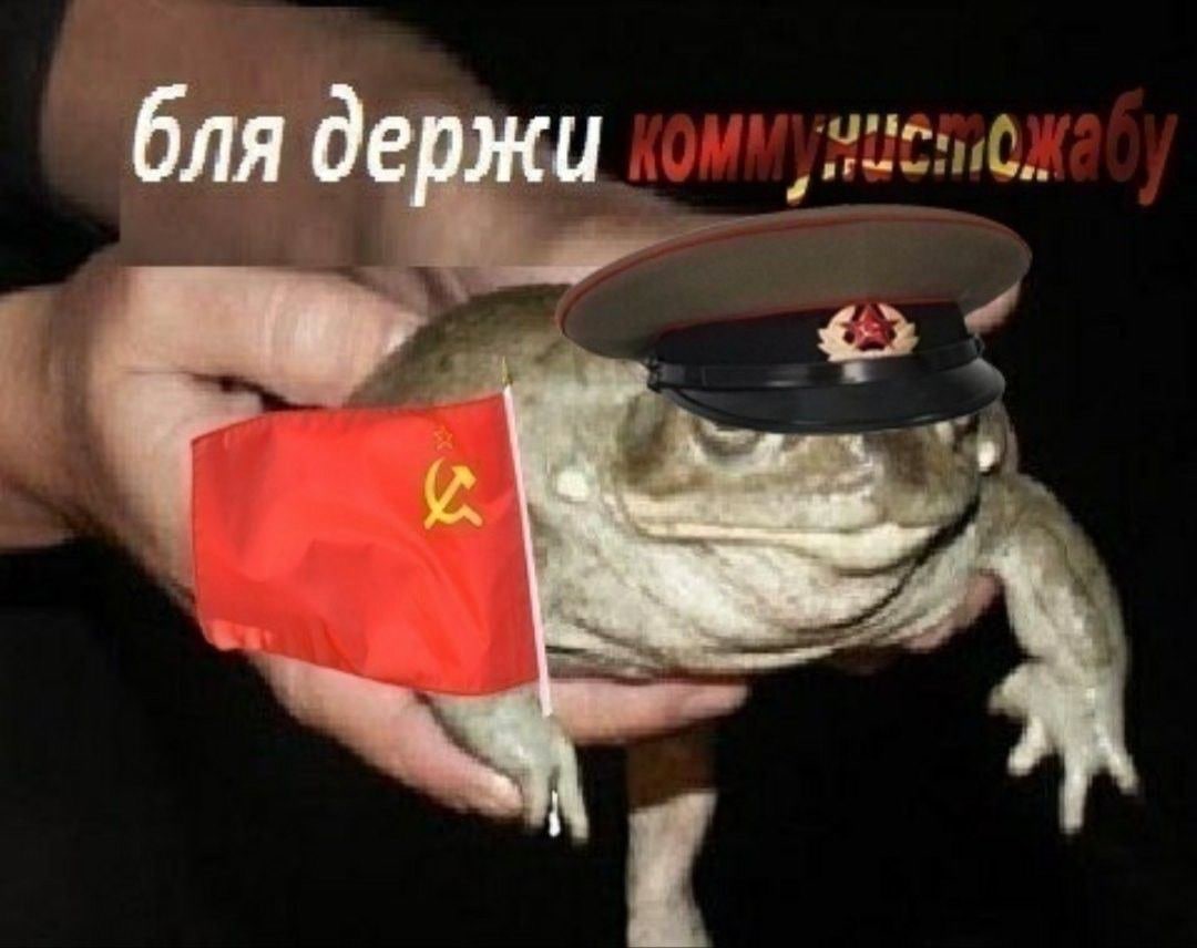 бля держи