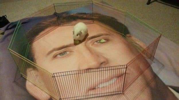 УМА sae at a а