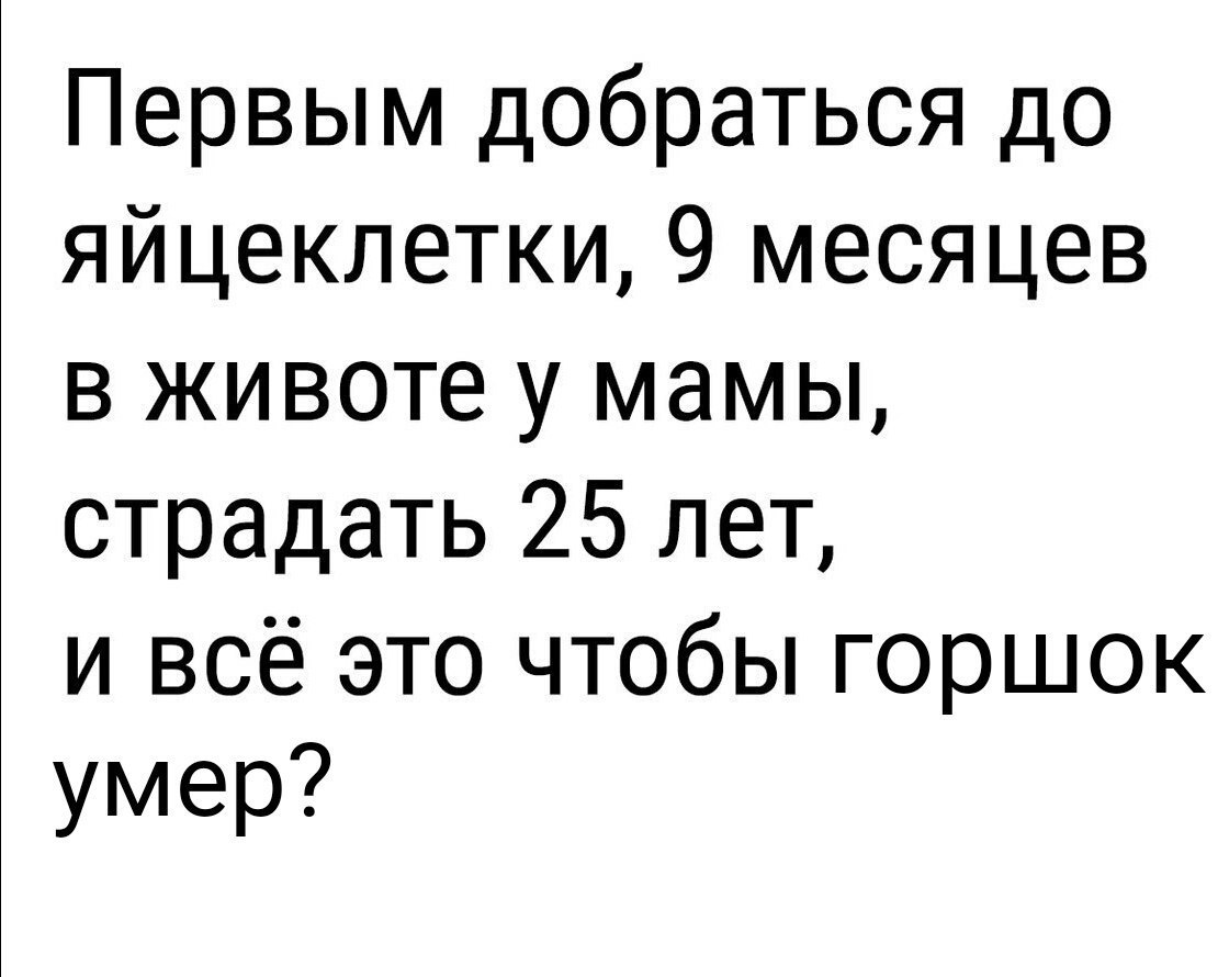Первым добраться до яйцеклетки, 9 месяцев в животе у мамы, страдать 25 лет, и всё это чтобы горшок умер?