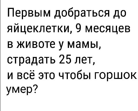 Первым добраться до яйцеклетки, 9 месяцев в животе у мамы, страдать 25 лет, и всё это чтобы горшок умер?