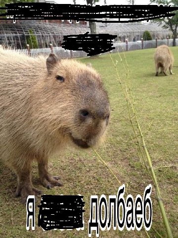 4 у i 1 we a и A in are ate у toe. or 4 Wout 7 27 у 7287 NALS at 2. 4 7. any 32 =a у 5 у 7