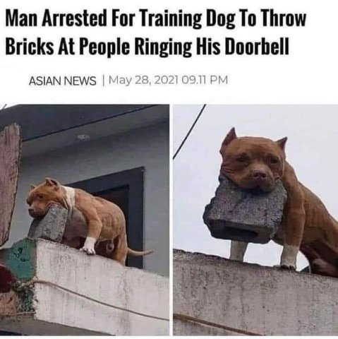 👤empörung