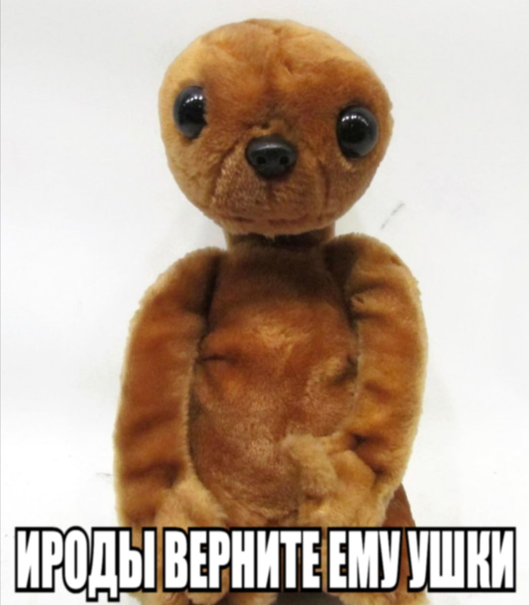 ВЕРНИТЕЕМУУШИИ