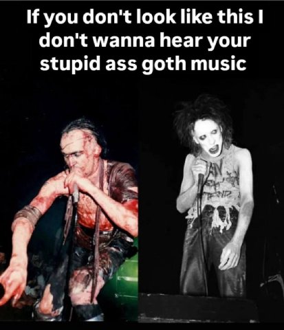 If you don't look like this don't wanna hear your stupid ass goth music