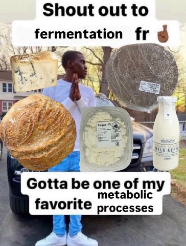 Shout out to fermentation 4 Gotta be one of my Metabolic favorite processes
