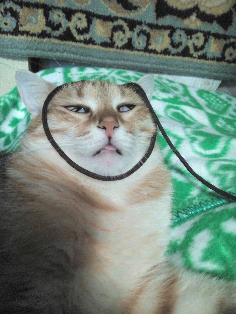 С
