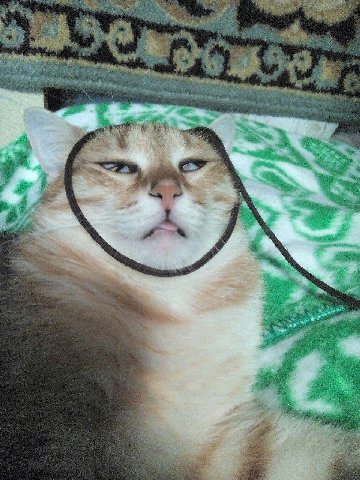 С