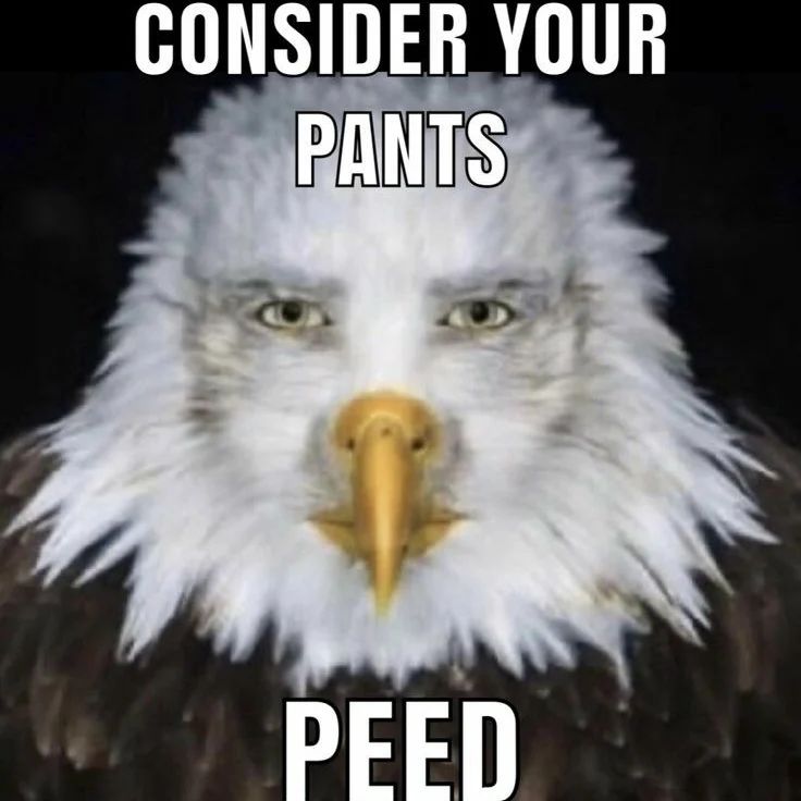 CONSIDER YOUR PANTS PFED
