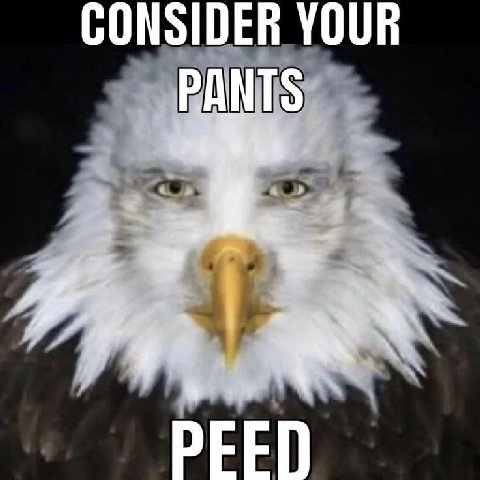 CONSIDER YOUR PANTS PFED