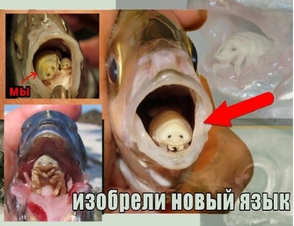 изобрели