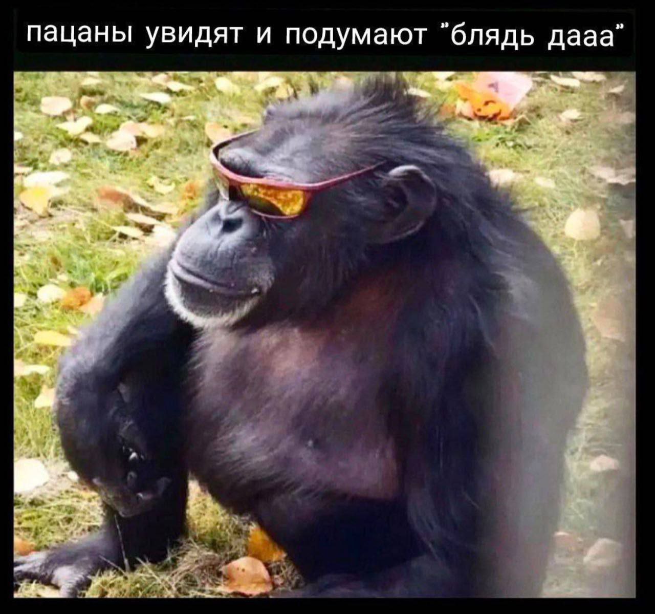 пацаны увидят и подумают "блядь дааа”
