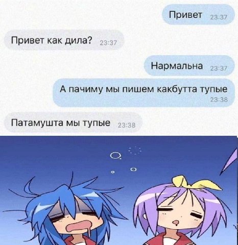 Привет Привет как дила? Нармальна А пачиму мы пишем какбут тупые 23:38 Патамушта мы тупые 3