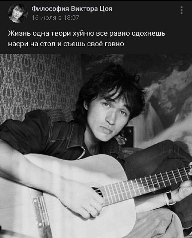 Философия Виктора Цоя 16 июля в 18:07 Жизнь одна твори хуйню все равно сдохнешь насри на стол и съешь своё говно