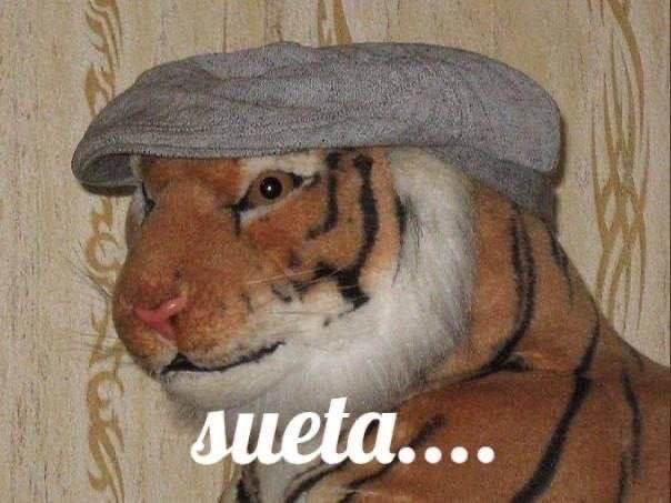 4 1: 4 1 ste a