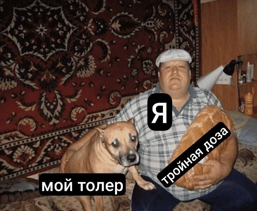 мой толер