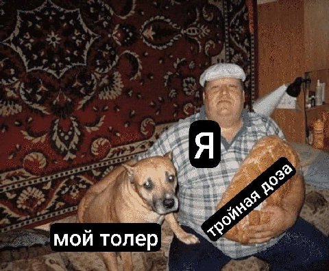 мой толер