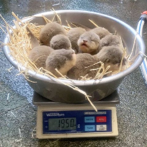 у 4. у ГАР 3 9 4 ‚4 4 2 1 к 2% у