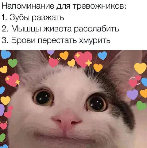 Напоминание для тревожников 1. Зубы разжать 2. Мышцы живота расслабить 3. Брови перестать хмурить