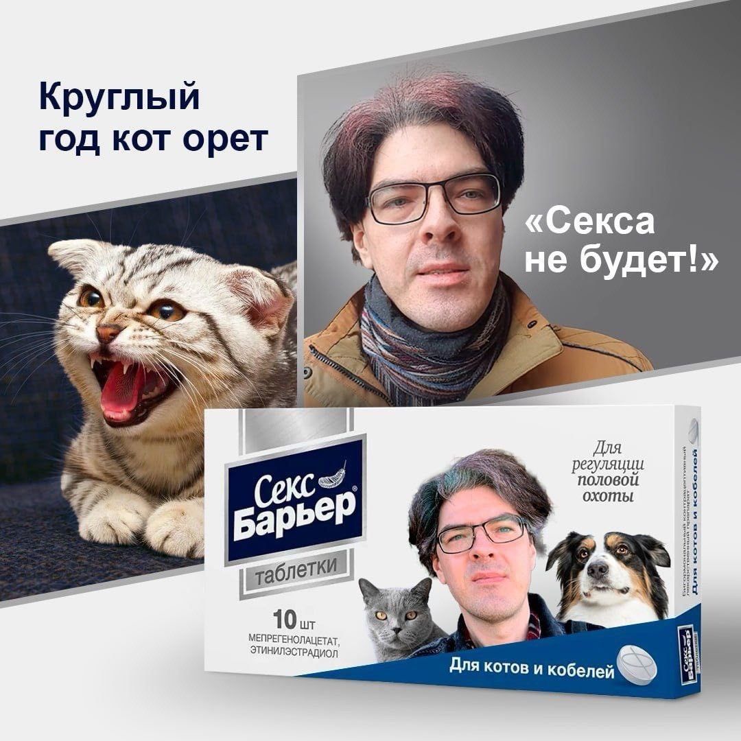 чайкой кричу