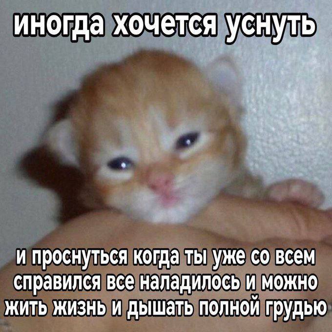 иногда хочется уснуть и проснуться когда ты уже всем справился все наладилось и можно жить жизнь и дышать полной грудью