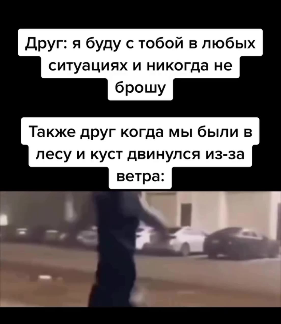 Друг: я буду с тобой в любых ситуациях и никогда не Также друг когда мы были в лесу и куст двинулся из-за