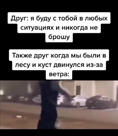 Друг: я буду с тобой в любых ситуациях и никогда не Также друг когда мы были в лесу и куст двинулся из-за
