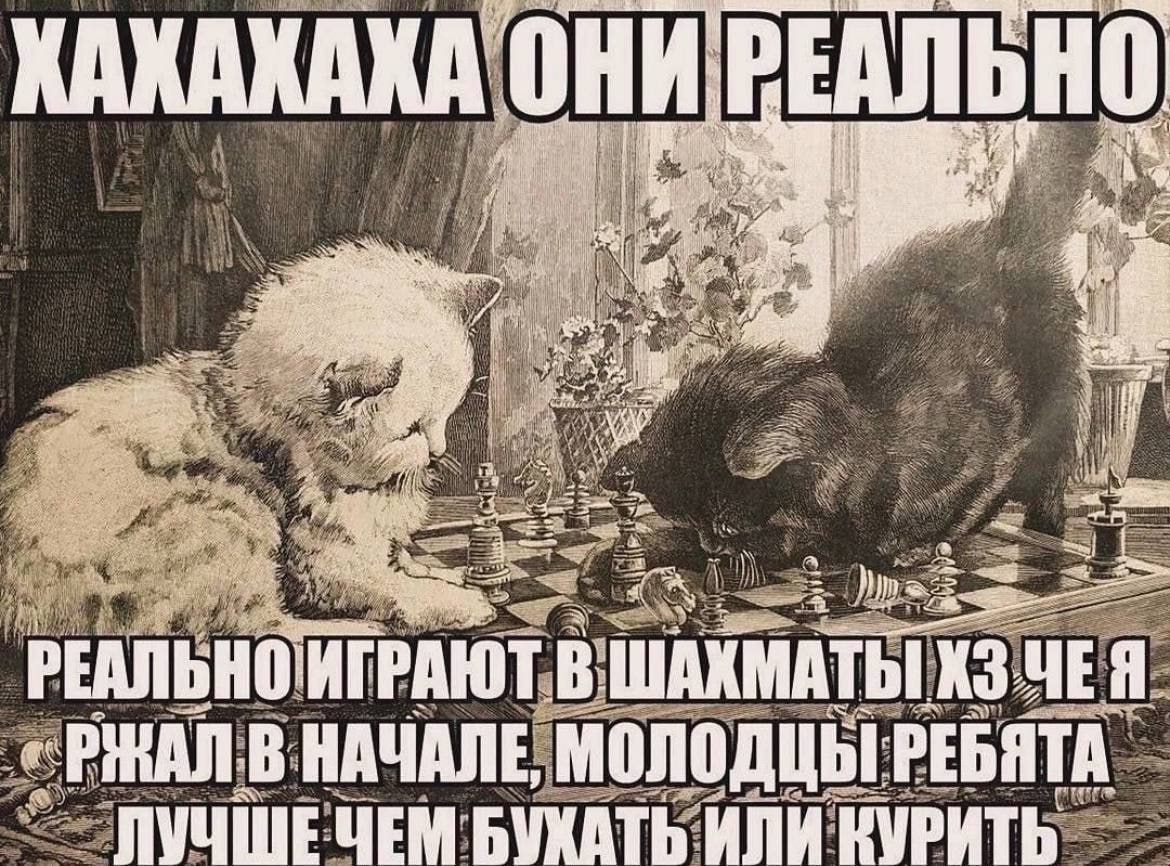 4 On 7 +4 i is We a at fil Я 55 ИГРАЮТ В ШАХМАТЫ ЧЕЯ РЕАЛЬНО PHAN НАЧАЛЕ, МОЛОДЦЫ ЛУЧШЕЧЕМ БУХАТЬ ИЛИ RVPHTb