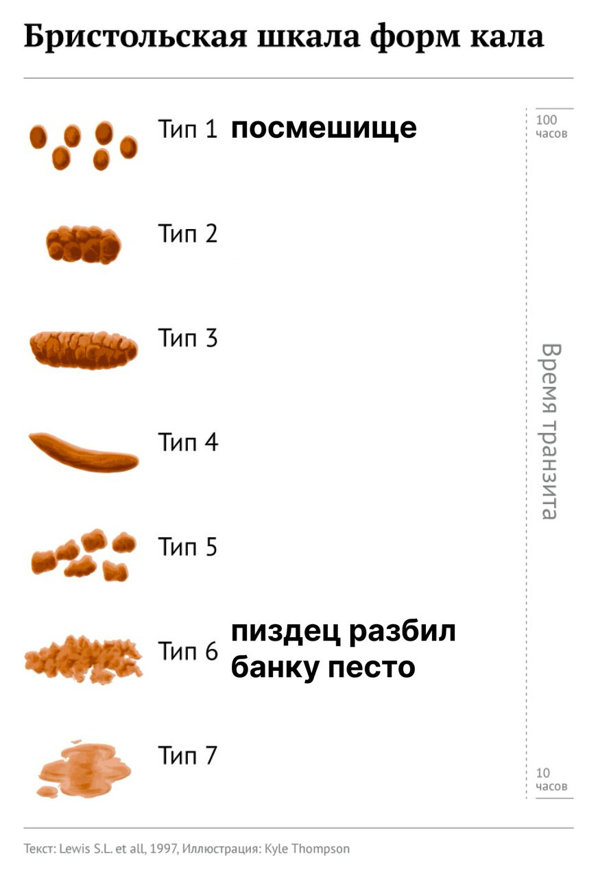 Бристольская шкала форм кала 100 часов о Tun 1 посмешище Tun 2 Тип 5 Тип 4 Tun 5 пиздец разбил Tun 6 банку песто часов 10 Тип 7 Текст: Lewis all, 1997, Иллюстрация: Kyle Thompson