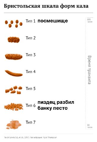 Бристольская шкала форм кала 100 часов о Tun 1 посмешище Tun 2 Тип 5 Тип 4 Tun 5 пиздец разбил Tun 6 банку песто часов 10 Тип 7 Текст: Lewis all, 1997, Иллюстрация: Kyle Thompson