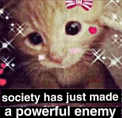 society has just made a powerful enemy